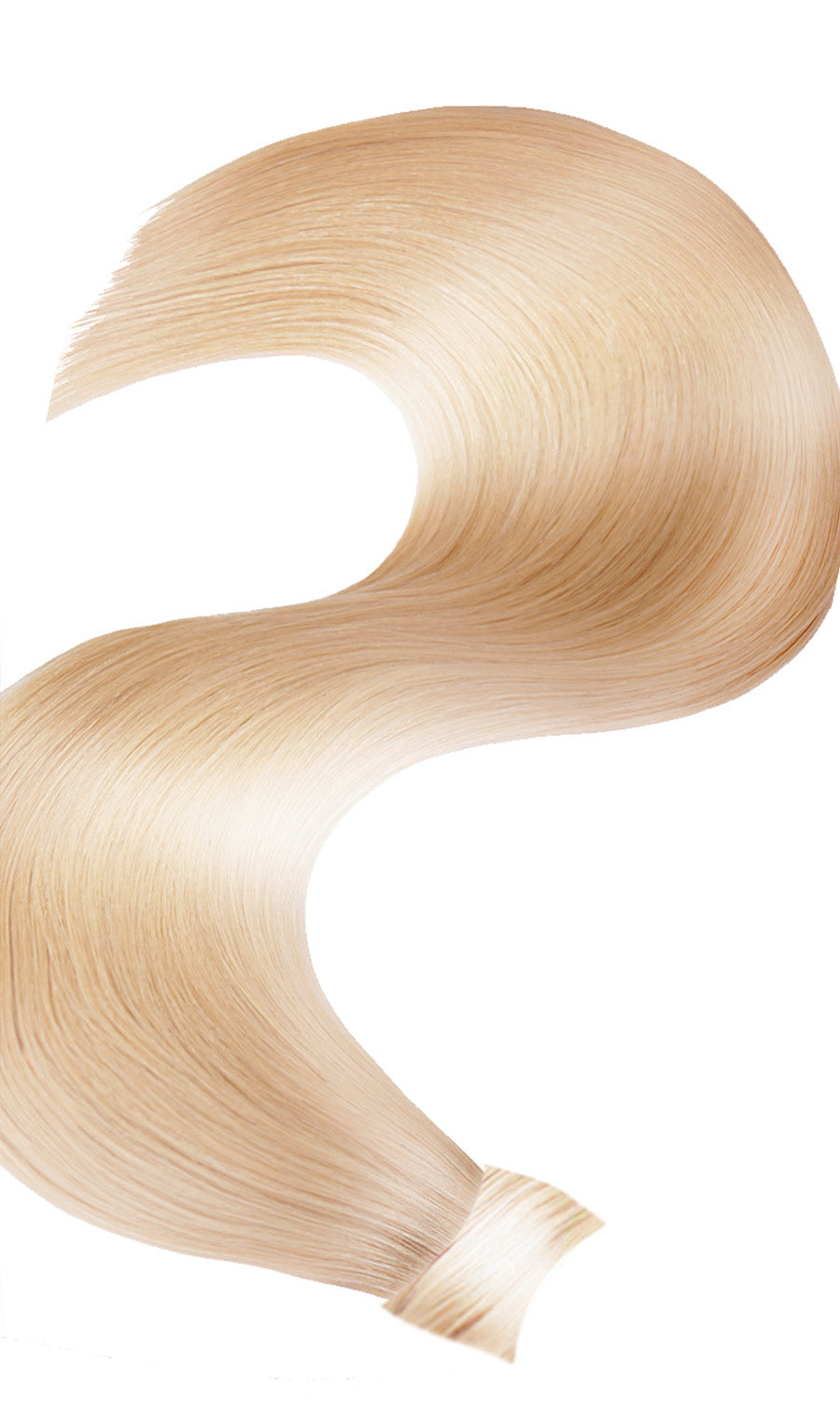 PONYTAIL Blond Miel