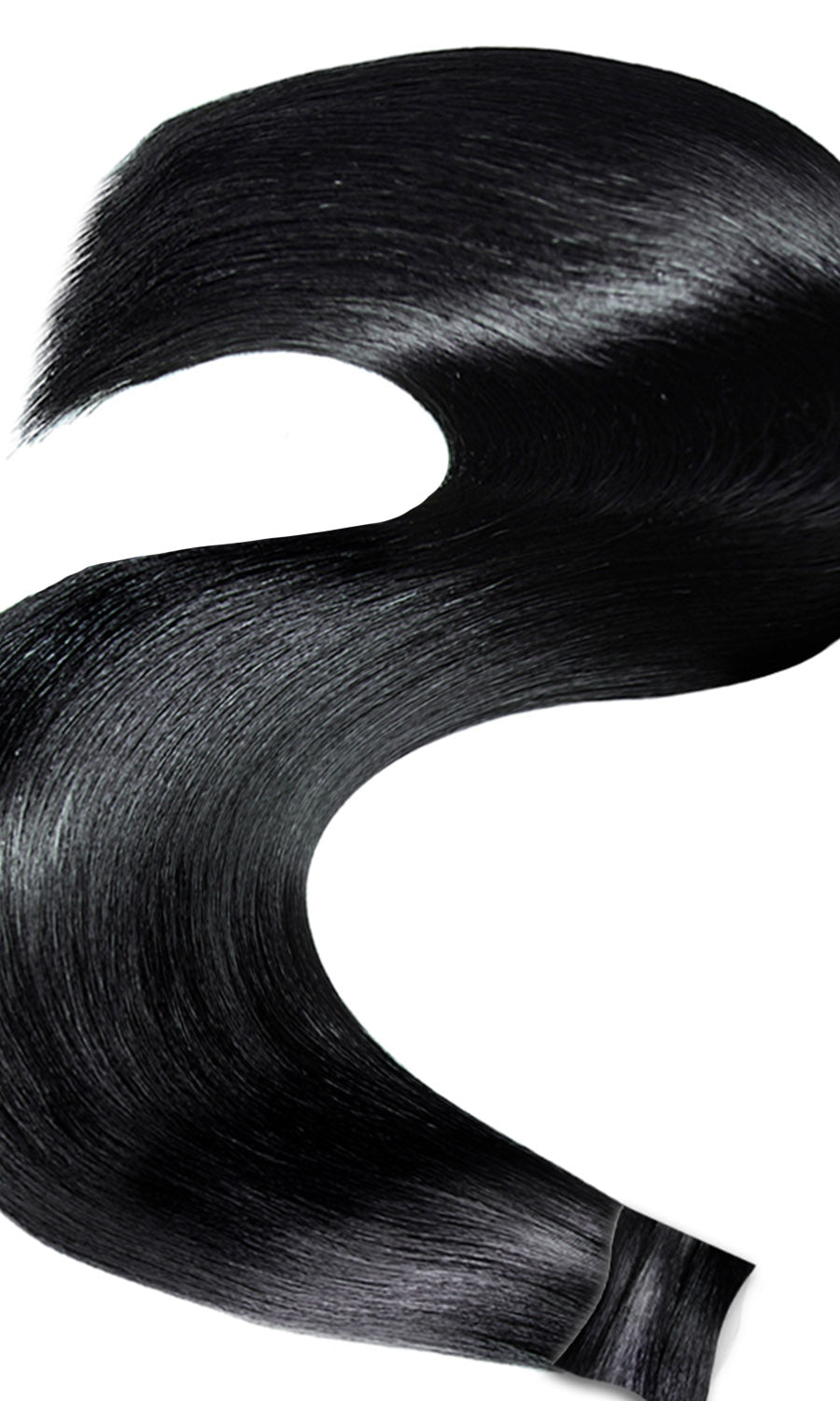 PONYTAIL Noir